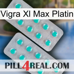 Vigra Xl Max Platinum 29